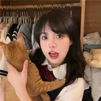 儒侠